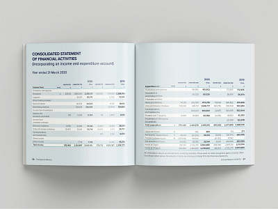Annual Report page layout financials annual report book design book designer editorial design layout design print design typesetting typography