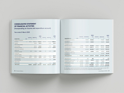 Annual Report page layout financials