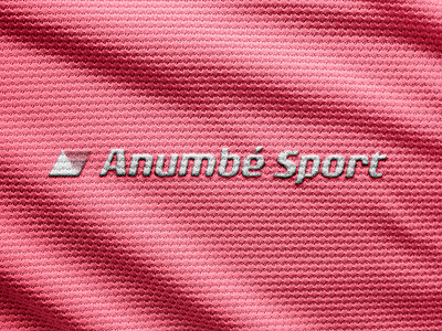 Sportswear brand embroidered logo design apparel design brand design brand identity branding embroidery logo logo design logo designer