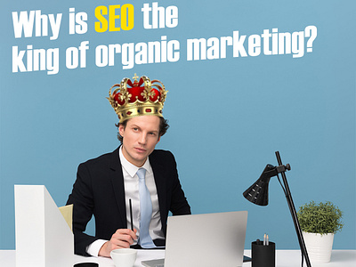 SEO - The Market King