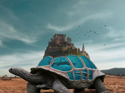 Turtle world
