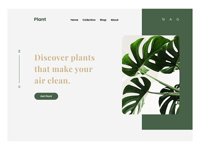 Plant - Website design green homepage landing page landingpage minimal plant plants typography ui web web ui webdesign website website design
