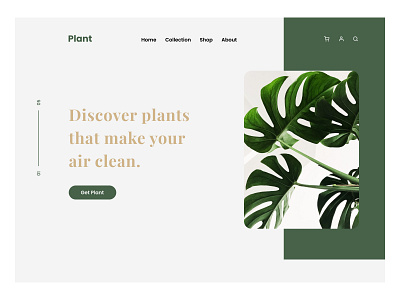 Plant - Website