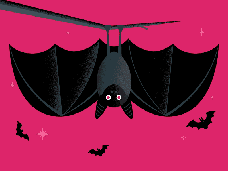 Google Play Halloween bats google halloween illustration play