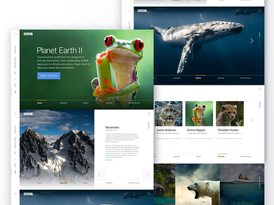 Planet Earth design mock sketch typography ui ux web