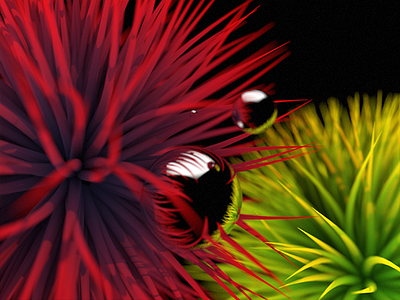 Space Urchins 3d cinema4d hair render