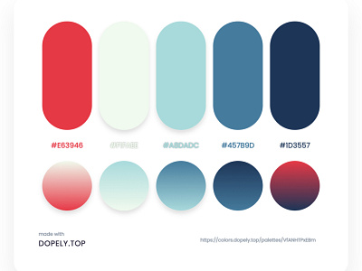 color palette animation color color palette colorful colorpalette design illustraion illustration logo ui ux