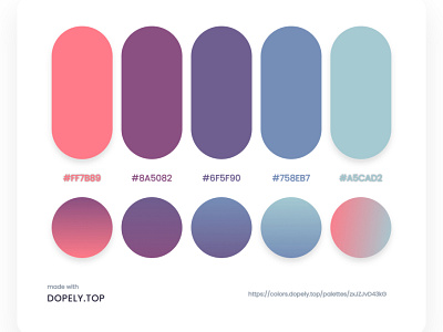 color Palette animation color color palette colorful colorpalette design illustraion illustration ui ux