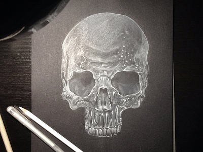 Skull illustration pencil sketch
