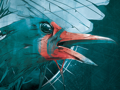 Sonder artwork artwork bird digital illustration music sketch