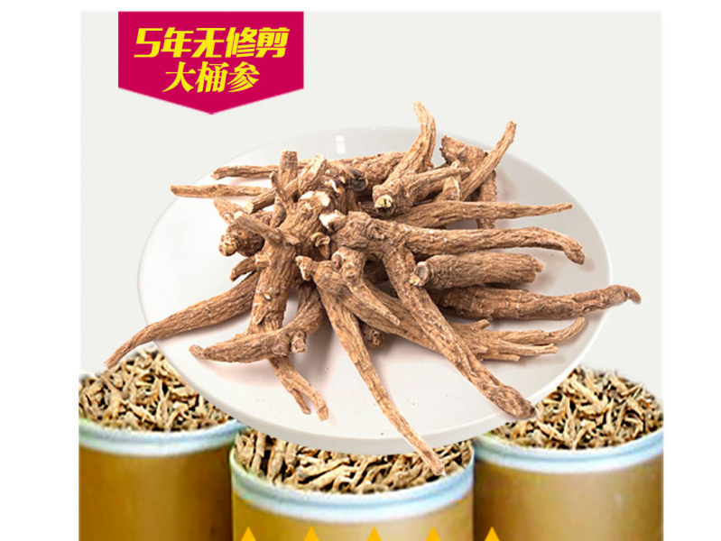 5 NUTRITIONAL FACTS ABOUT GINSENG by ZenGinseng on Dribbble