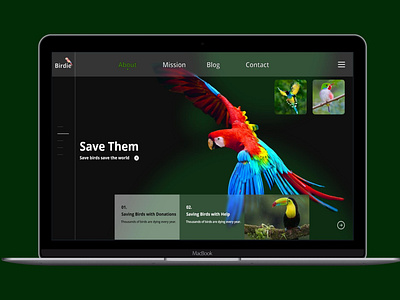 UI UX Website Design Bird Adobe XD