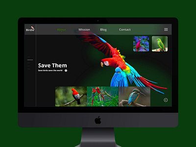 UI UX Website Design Bird Adobe XD