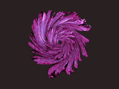 Flor animation branding design icon illustration logo