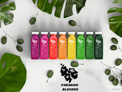 BRANDING: PARADISE BLENDED - SMOOTHIE BRAND