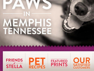 Happy Paws dog memphis orange purple red tennessee typography web design white