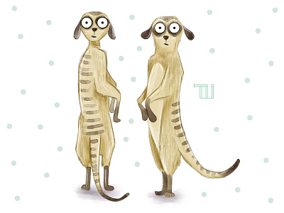 Funny meerkats