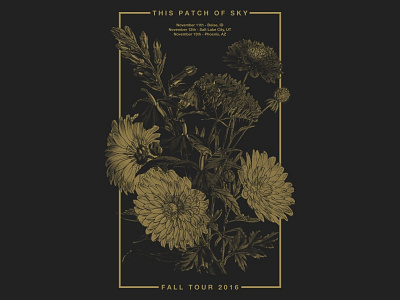 This Patch Of Sky - Tour Poster