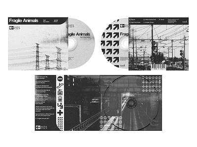 Fragile Animals - Album Layout