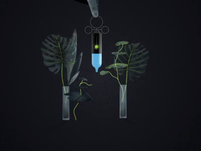 Collaboration - Jordan Lyle 2d after effects animation life plants syringe