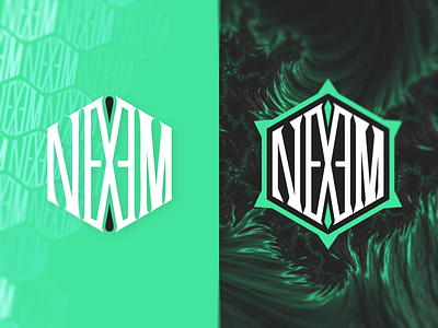 NEXEM Logo Branding branding design graphic design graphics illustration lettering logo nexem type