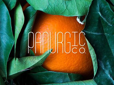 Panurgic art design logo text typeface