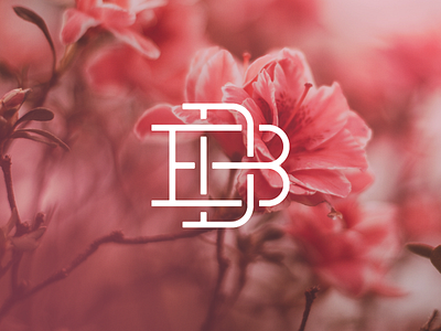 DB Monogram branding db design graphics logo monogram vector