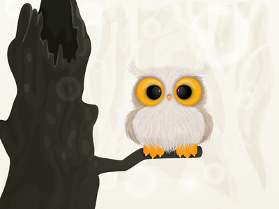 Owl bird character cute illustration owl vector