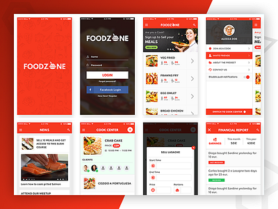 Food Zone app design css design web design