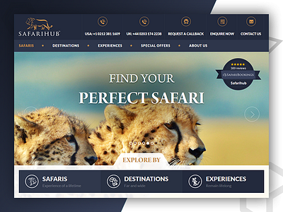 SafariHub - Web Design & Develop By Pixlogix web design web development