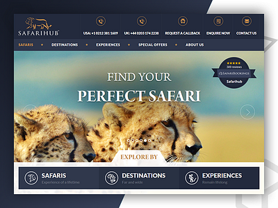 SafariHub - Web Design & Develop By Pixlogix