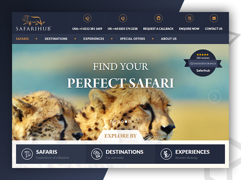 SafariHub - Web Design & Develop By Pixlogix web development web design