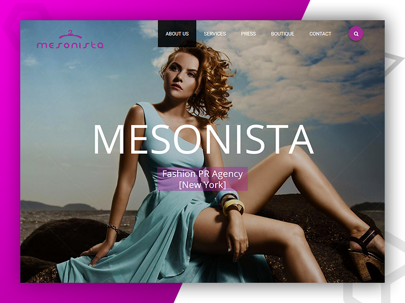 Mesonista - Web Design and Developed by Pixlogix web development web design graphic design
