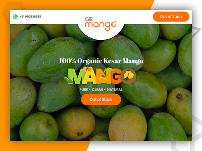 Gir Mango - online food ordering website design and development css design graphic design html5 logo design photoshop psd to html responsive design web design web development
