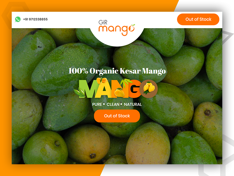 Gir Mango online food ordering website design and development by