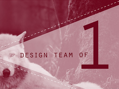 Article: Design Team of 1 article blog graphic header wolf