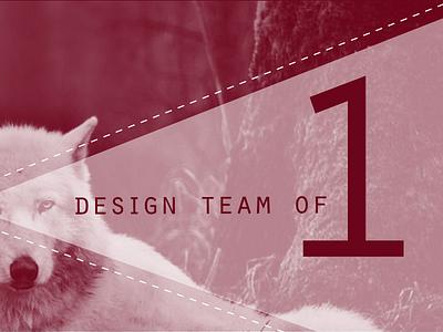 Article: Design Team of 1