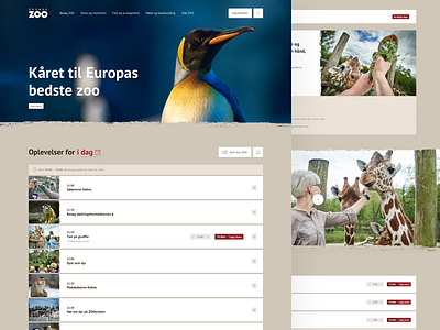 Art Direction for Odense ZOO