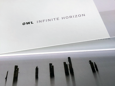 Silent Season CD - Owl Infinite Horizong cd