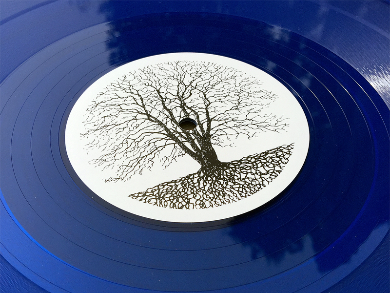 Silent Season Limited 12"