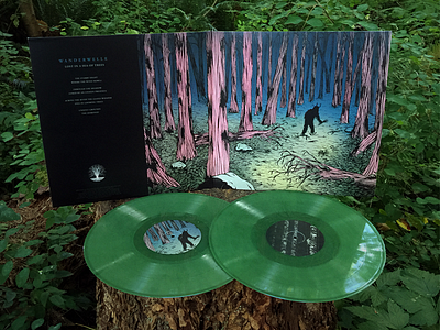 Wanderwelle (Silent Season) Album Artwork folklore music nature record vinyl