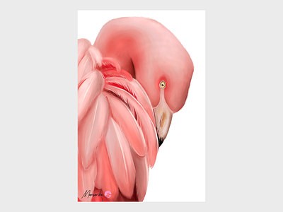 Flamingo clip studio paint digital art digital illustration digital painting illustration