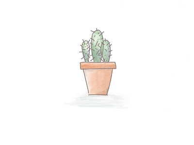Prickles cactus illustration plant procreate shape succulent vector