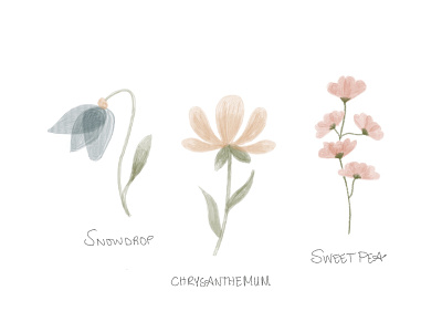 Floral study