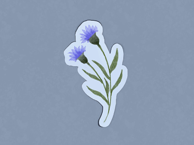 Cornflower Sticker cornflower design explore floral illustration line procreate shape sticker sticker effect vector