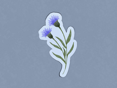 Cornflower Sticker