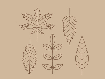 Fall leaves exploration exploration fall leaves procreate simple lines sketch study vector