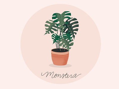 Monstera design floral house plant illustration line monstera plant procreate shadow vector