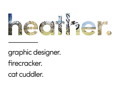 Website cat cuddler firecracker graphic designer logo photography portfolio website