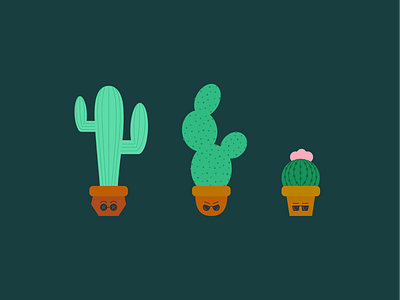 Cool Cacti cacti cactus flat green illustration simple succulent